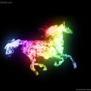 Meet your Posher, Lilly